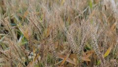 城市及时预警提示