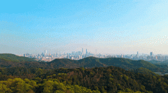 公司；避免多花钱